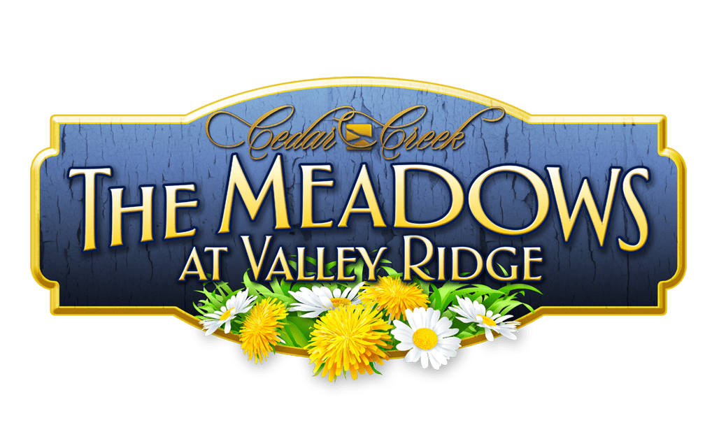 The Meadows (Project Page)