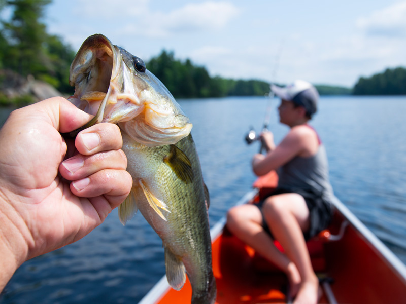 Photo of hand holding up a fish in a canoe with a boy fishing in the background on Shadow Lake