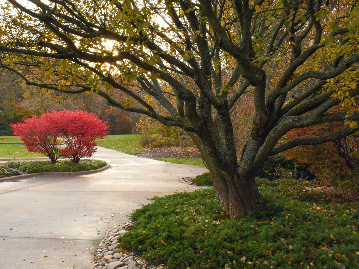 Scenic walkway with fall foliage